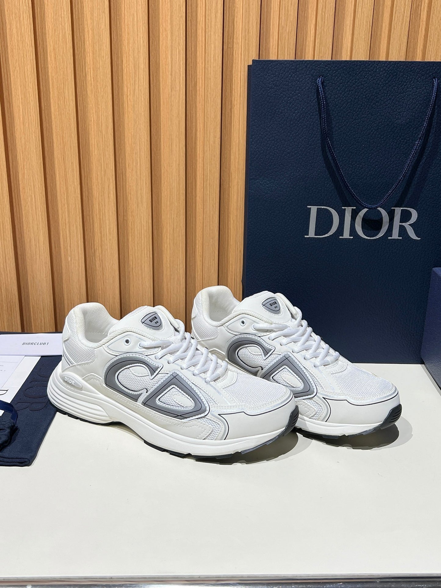 DIOR B30