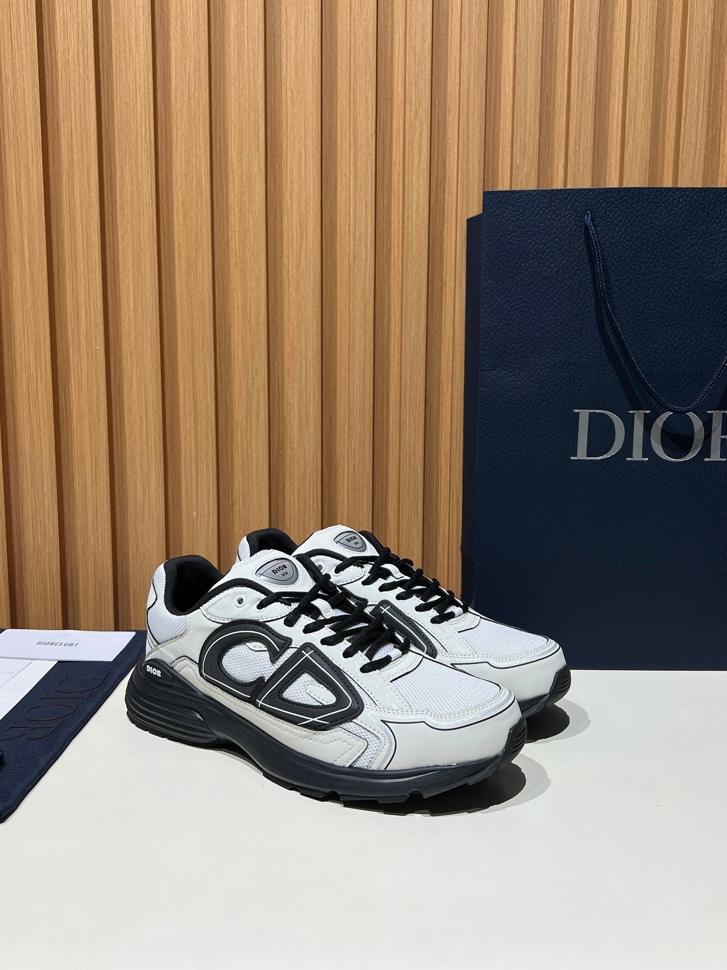 DIOR B30