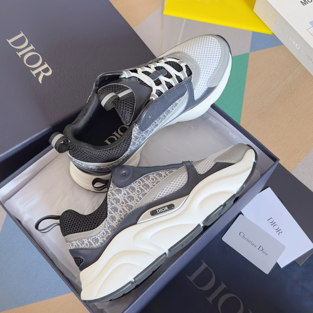 DIOR B22
