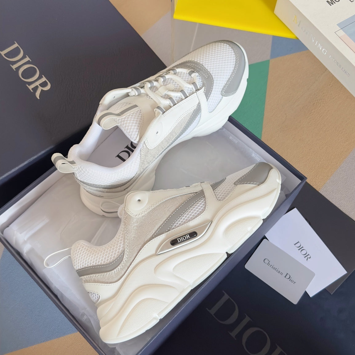 DIOR B22