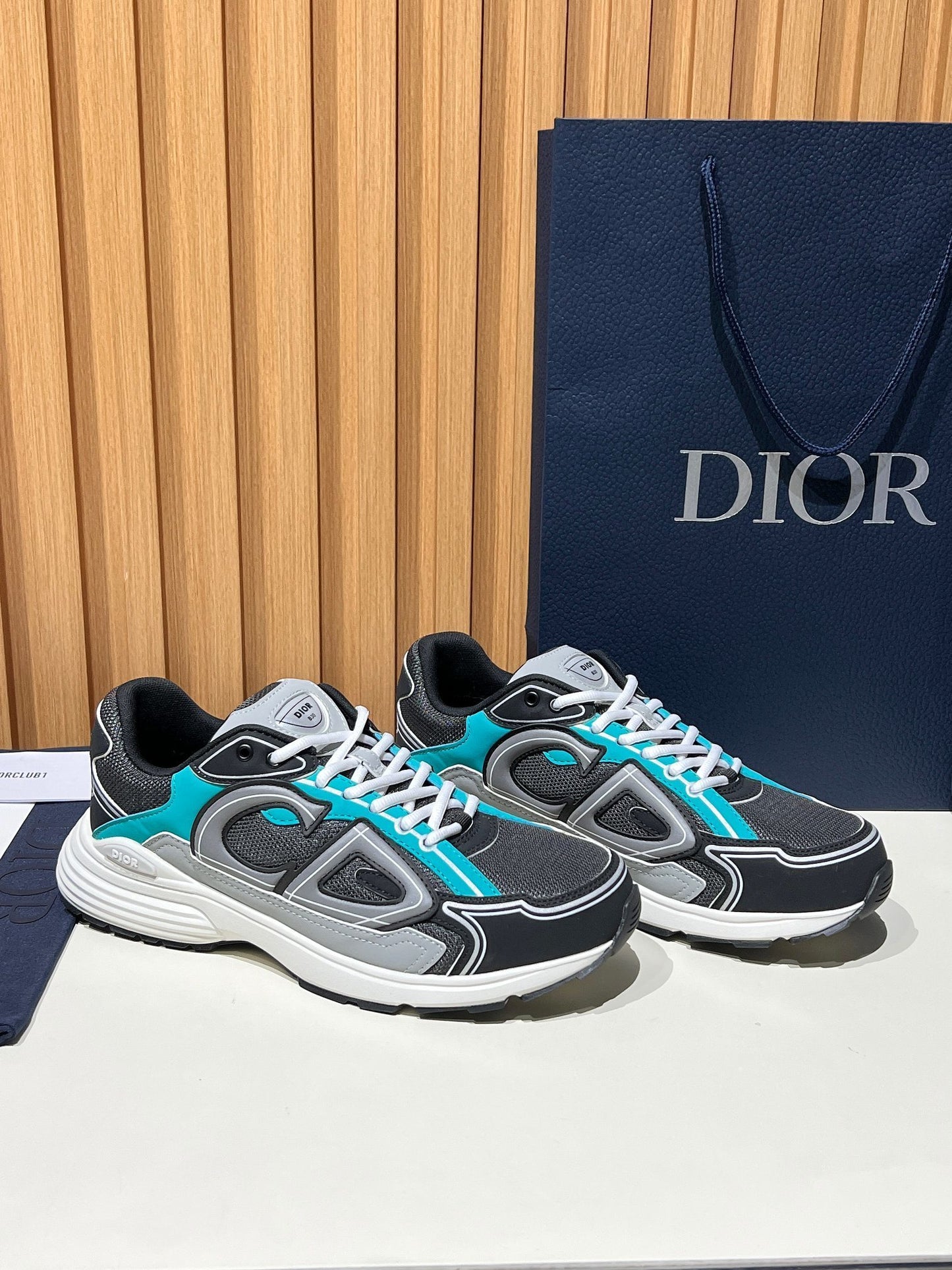 DIOR B30