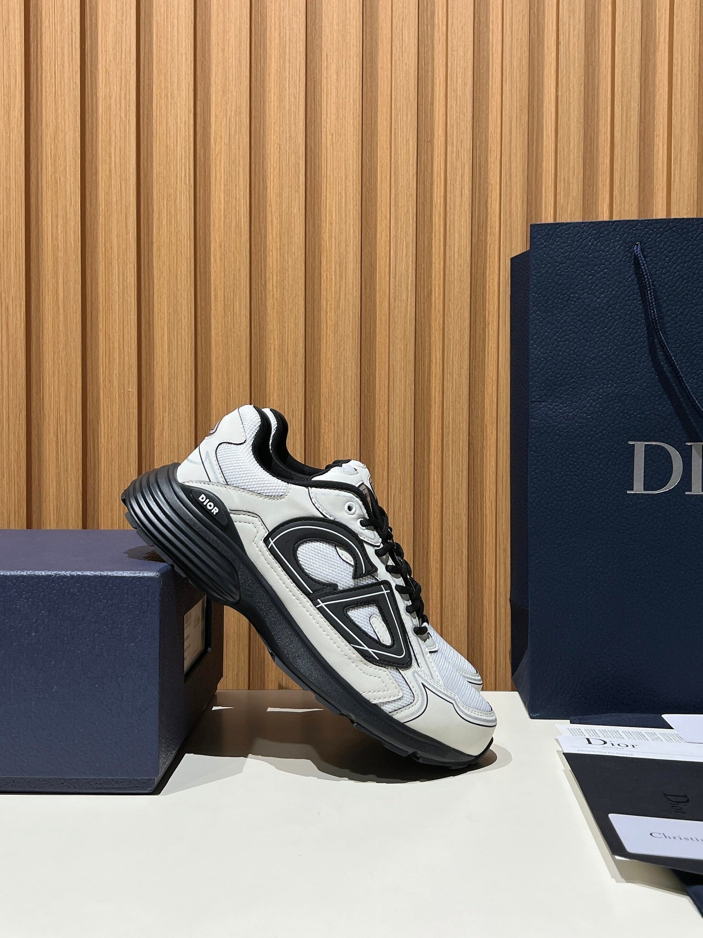 DIOR B30