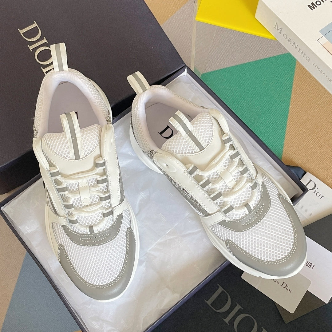 DIOR B22