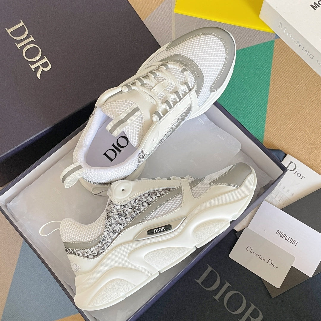 DIOR B22