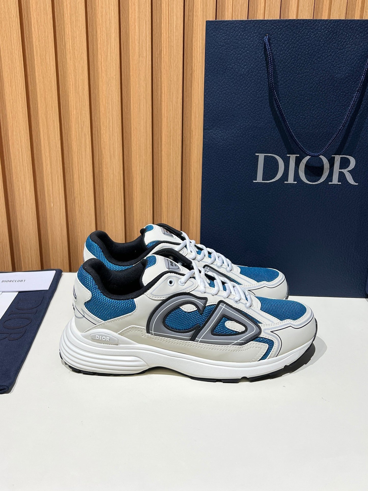 DIOR B30