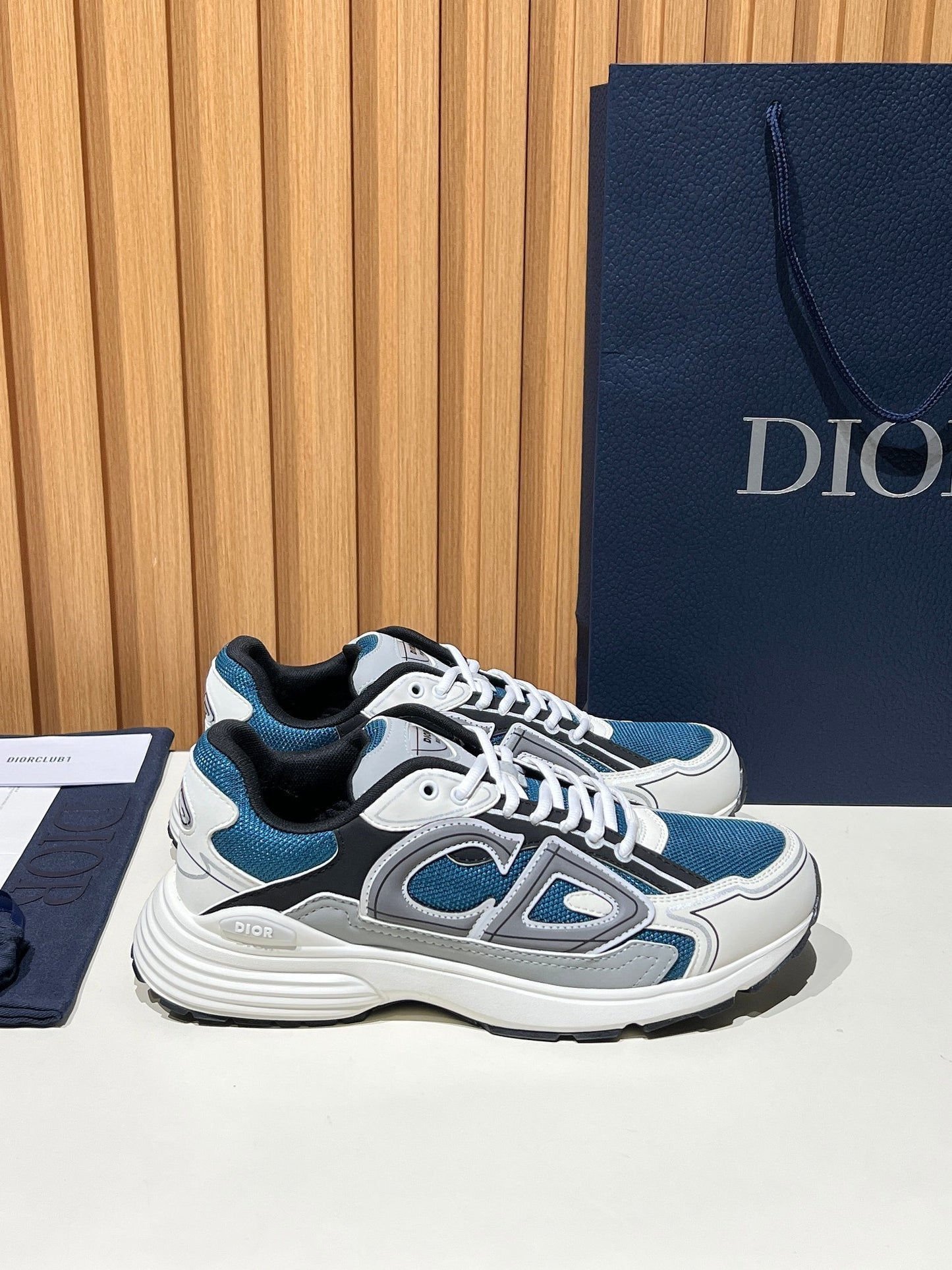 DIOR B30
