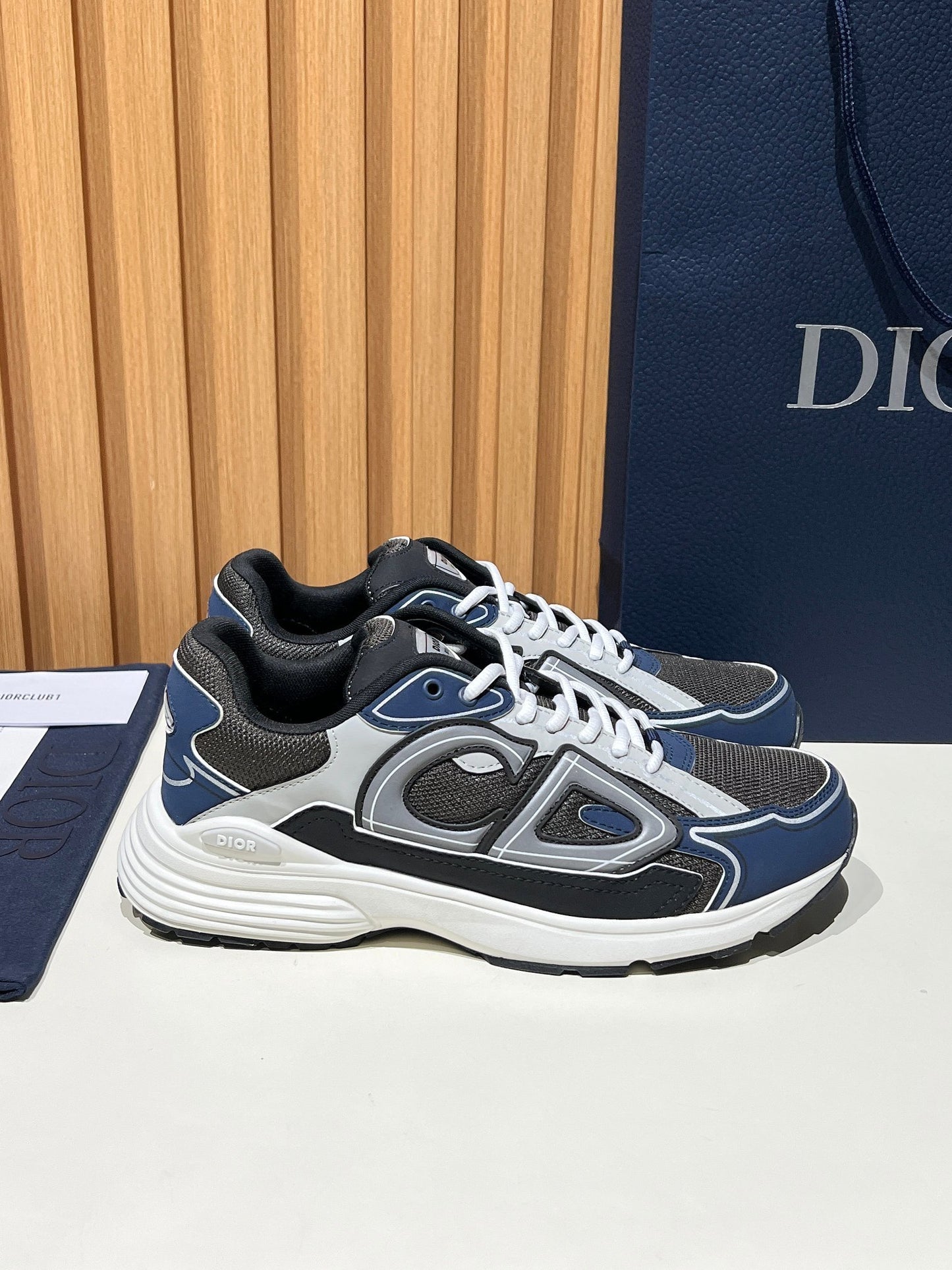 DIOR B30