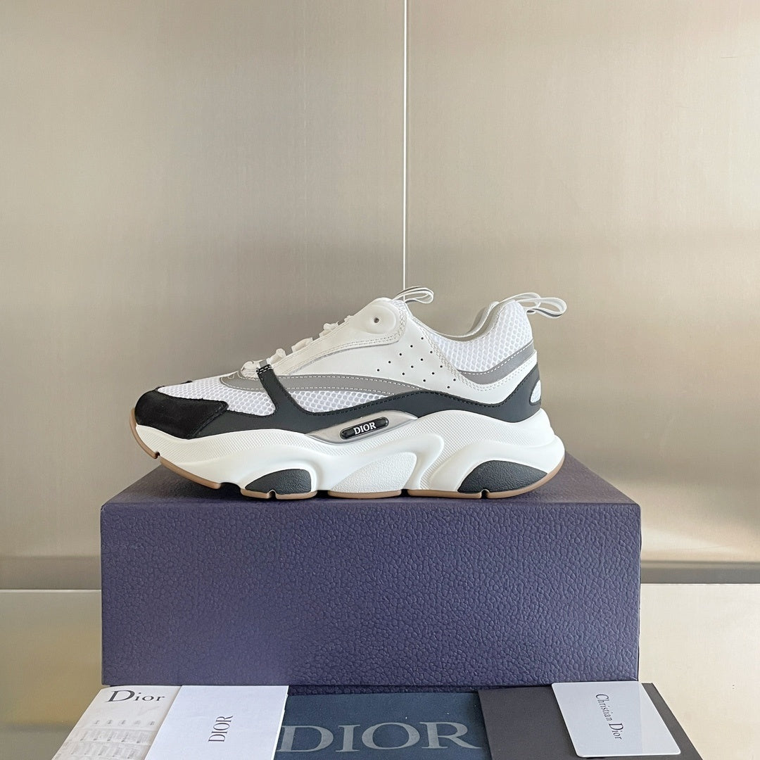 DIOR B22