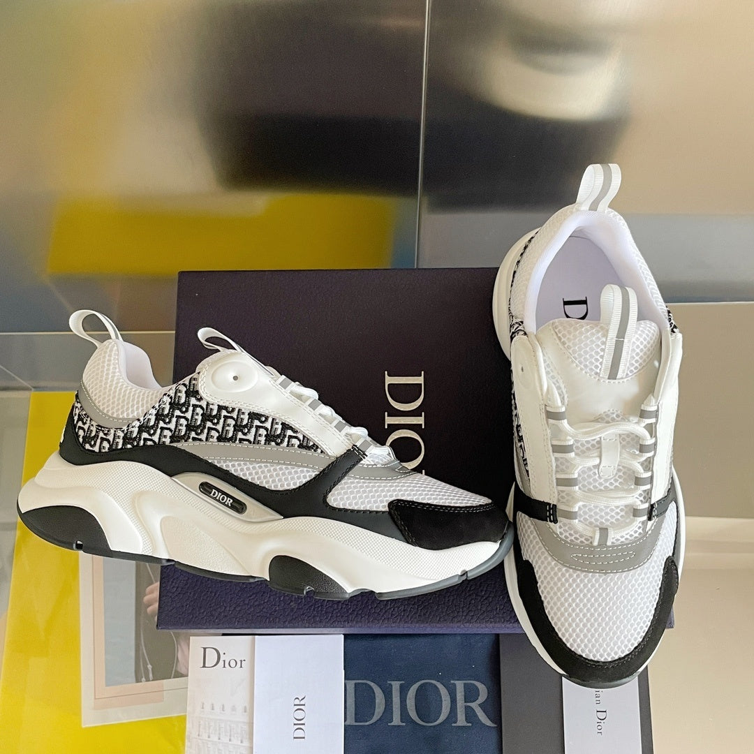 DIOR B22