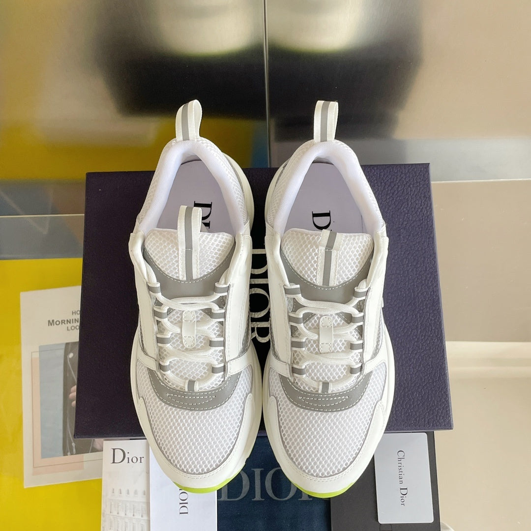 DIOR B22