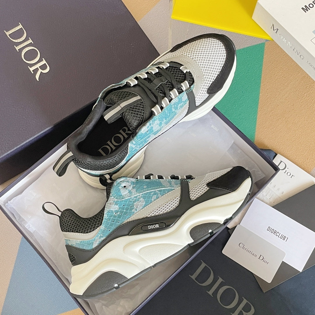 DIOR B22