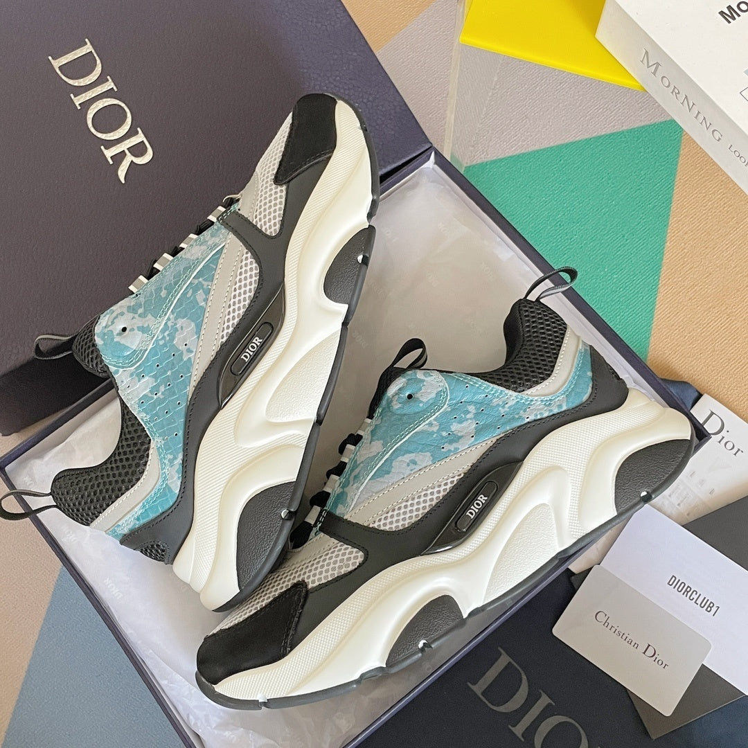 DIOR B22