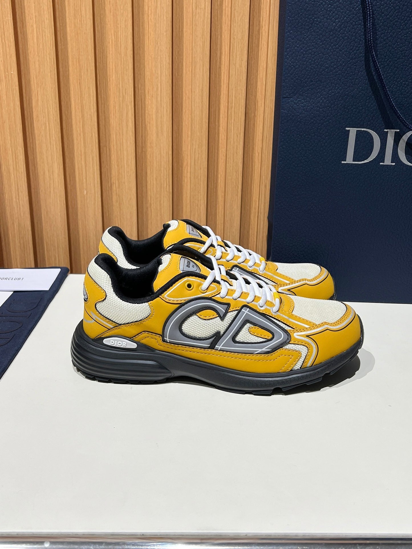 DIOR B30