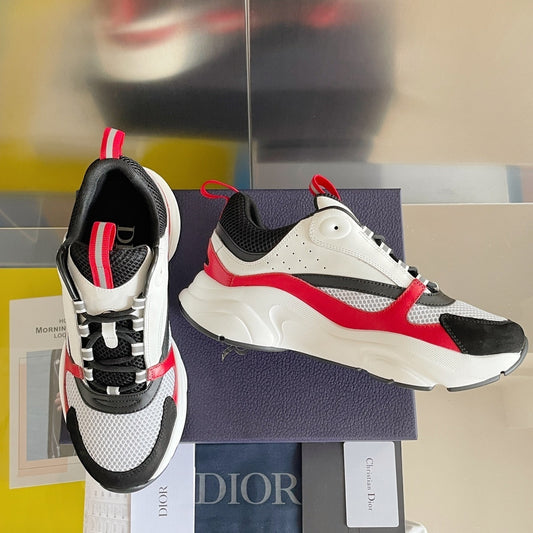 DIOR B22