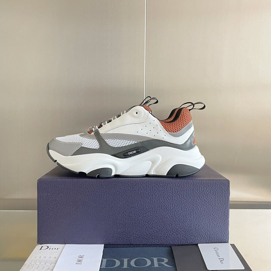 DIOR B22