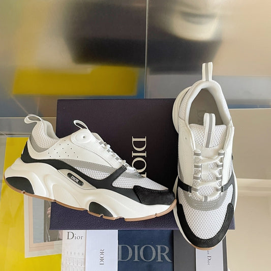 DIOR B22