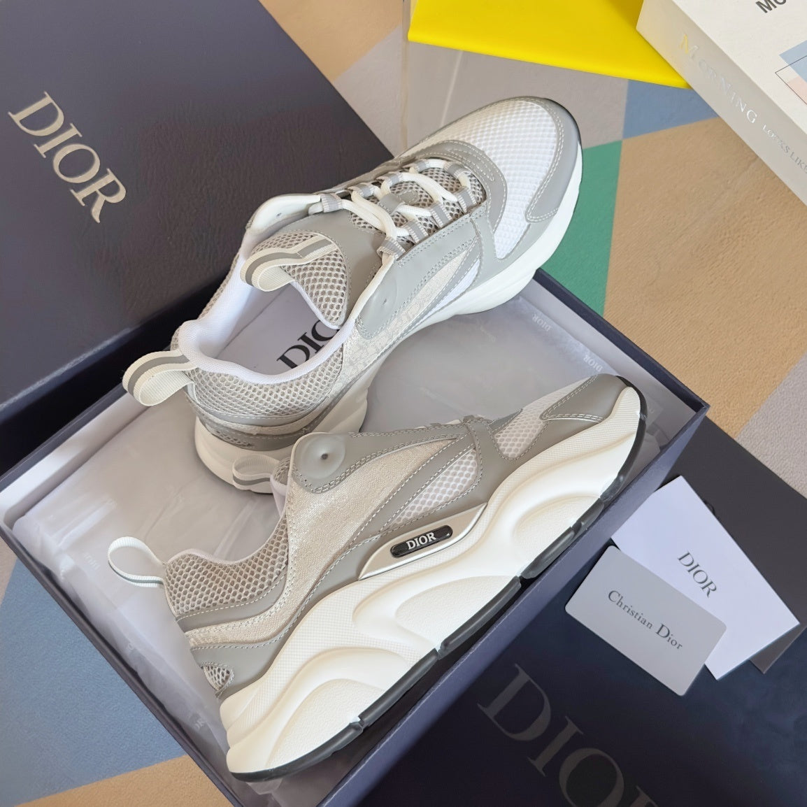 DIOR B22