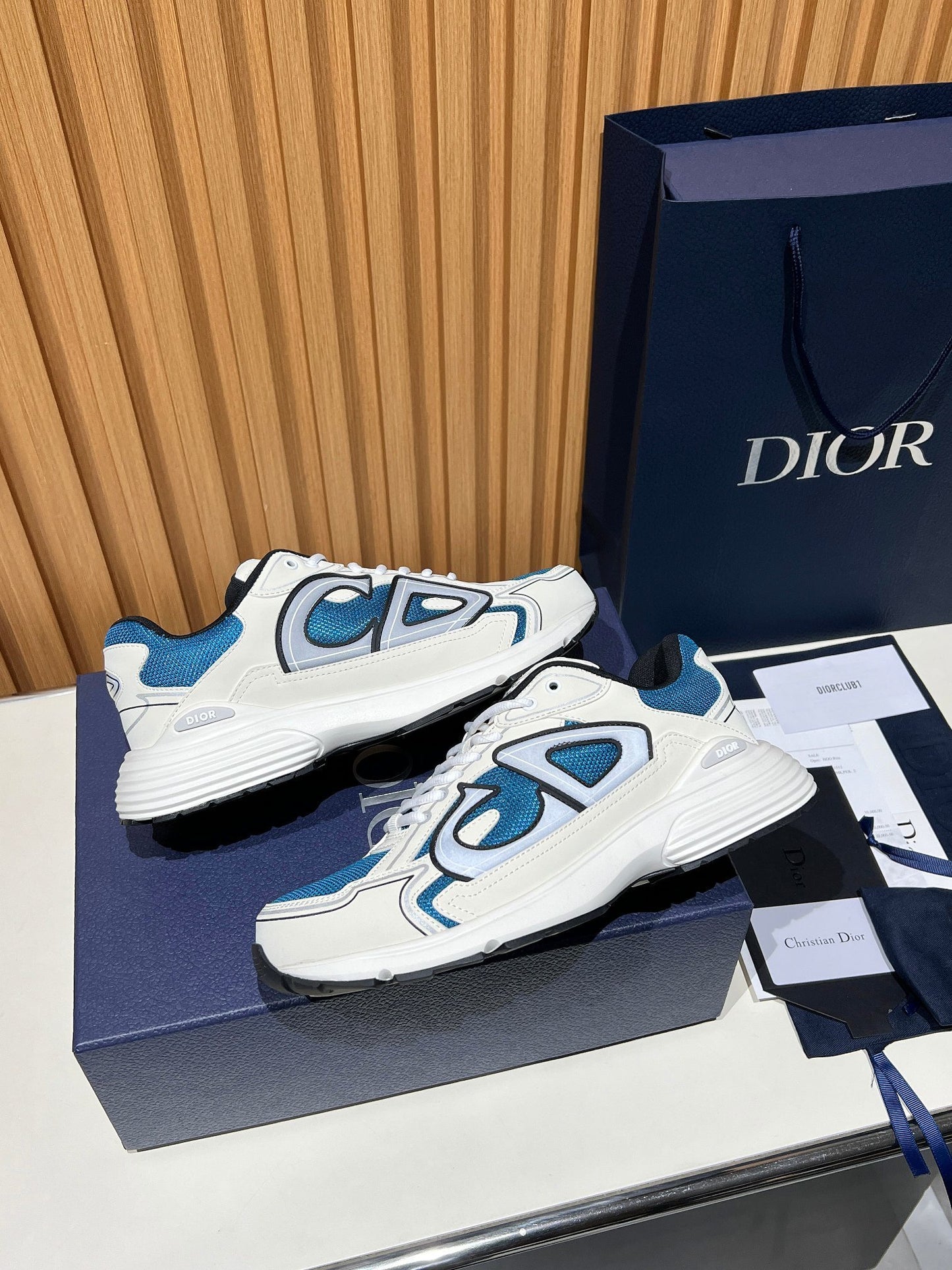 DIOR B30