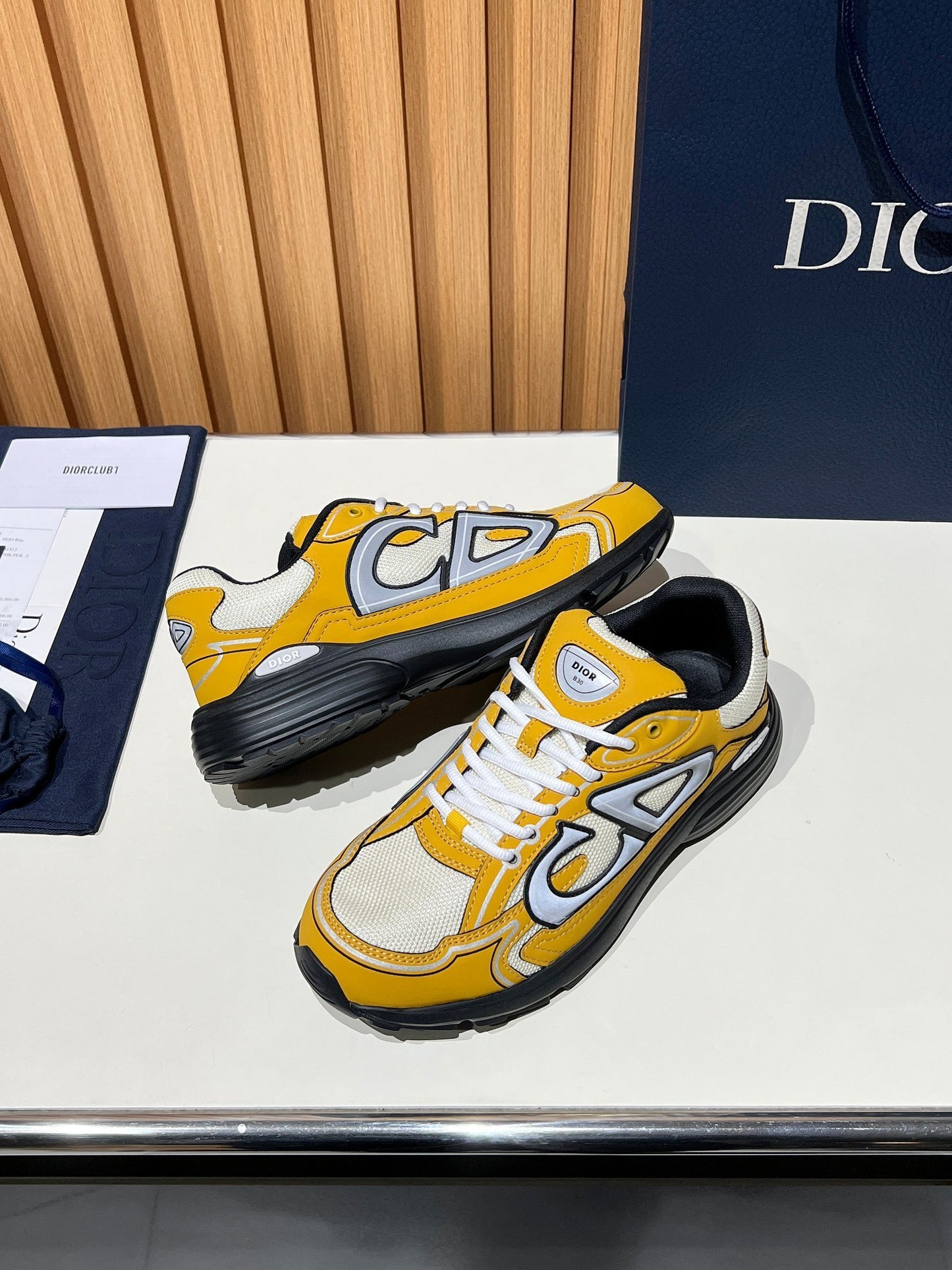 DIOR B30