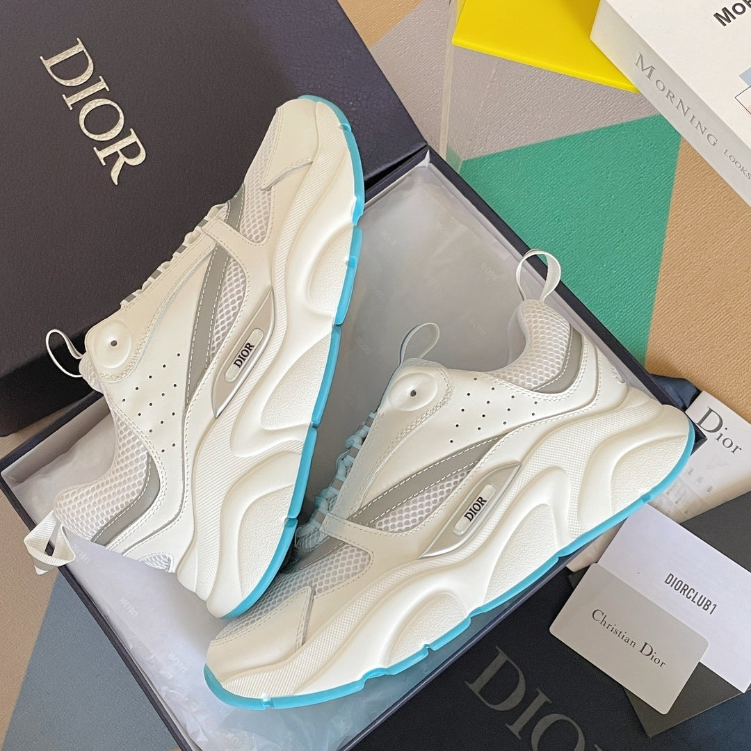 DIOR B22