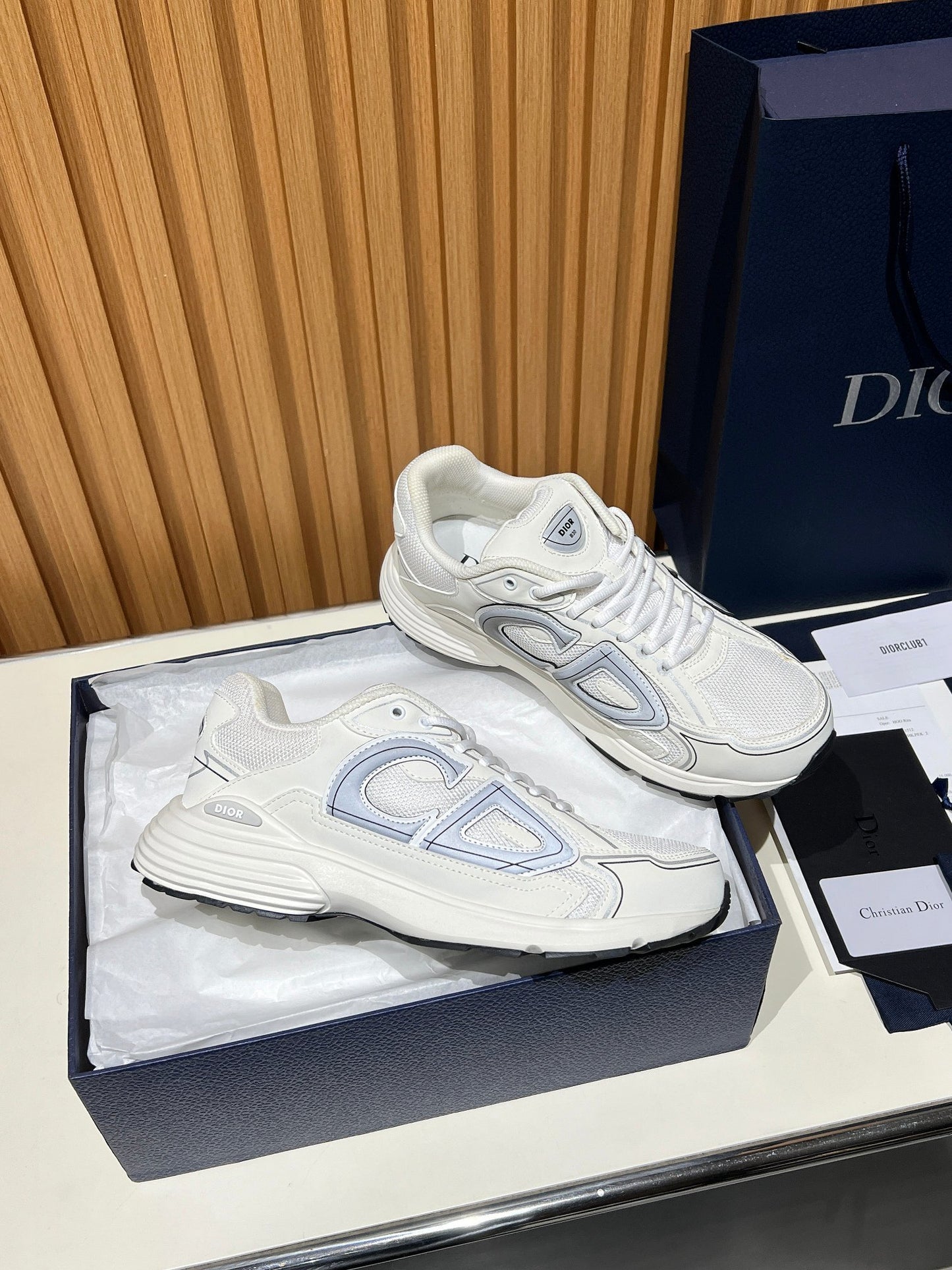 DIOR B30