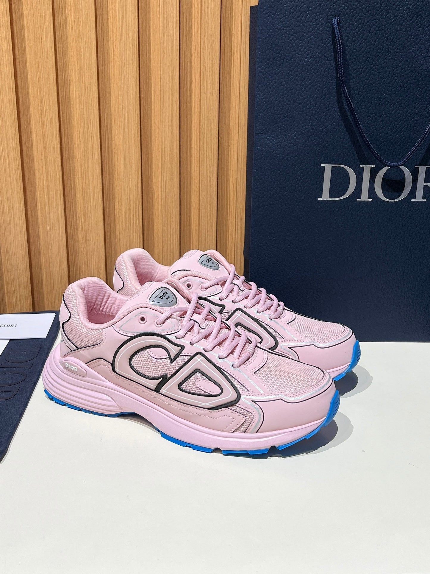 DIOR B30