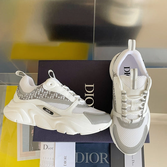 DIOR B22