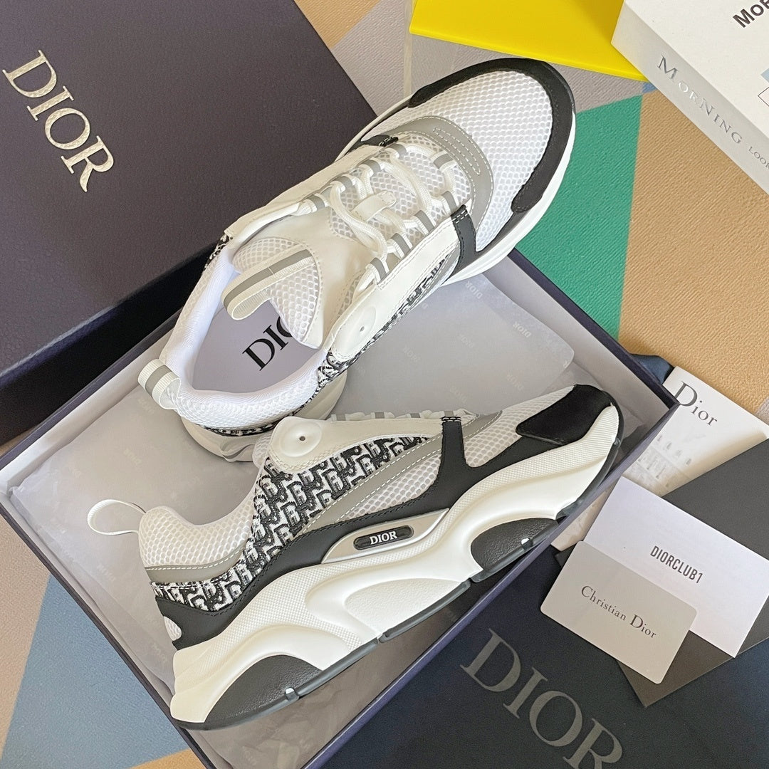 DIOR B22