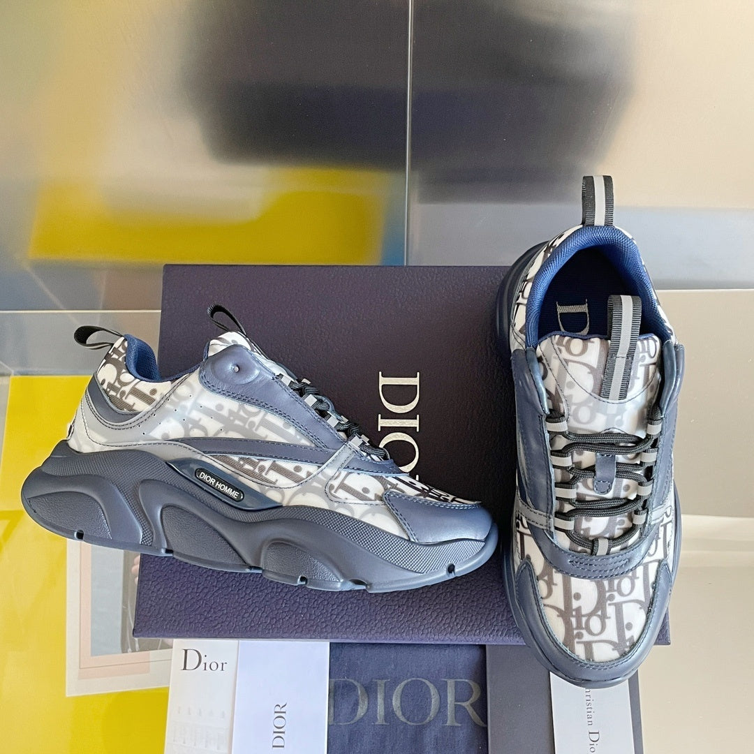 DIOR B22