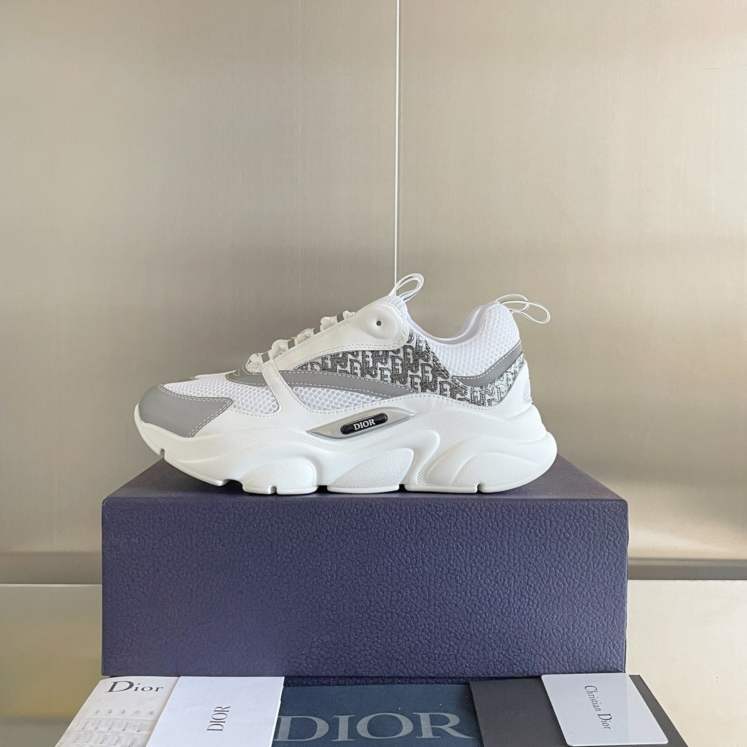 DIOR B22