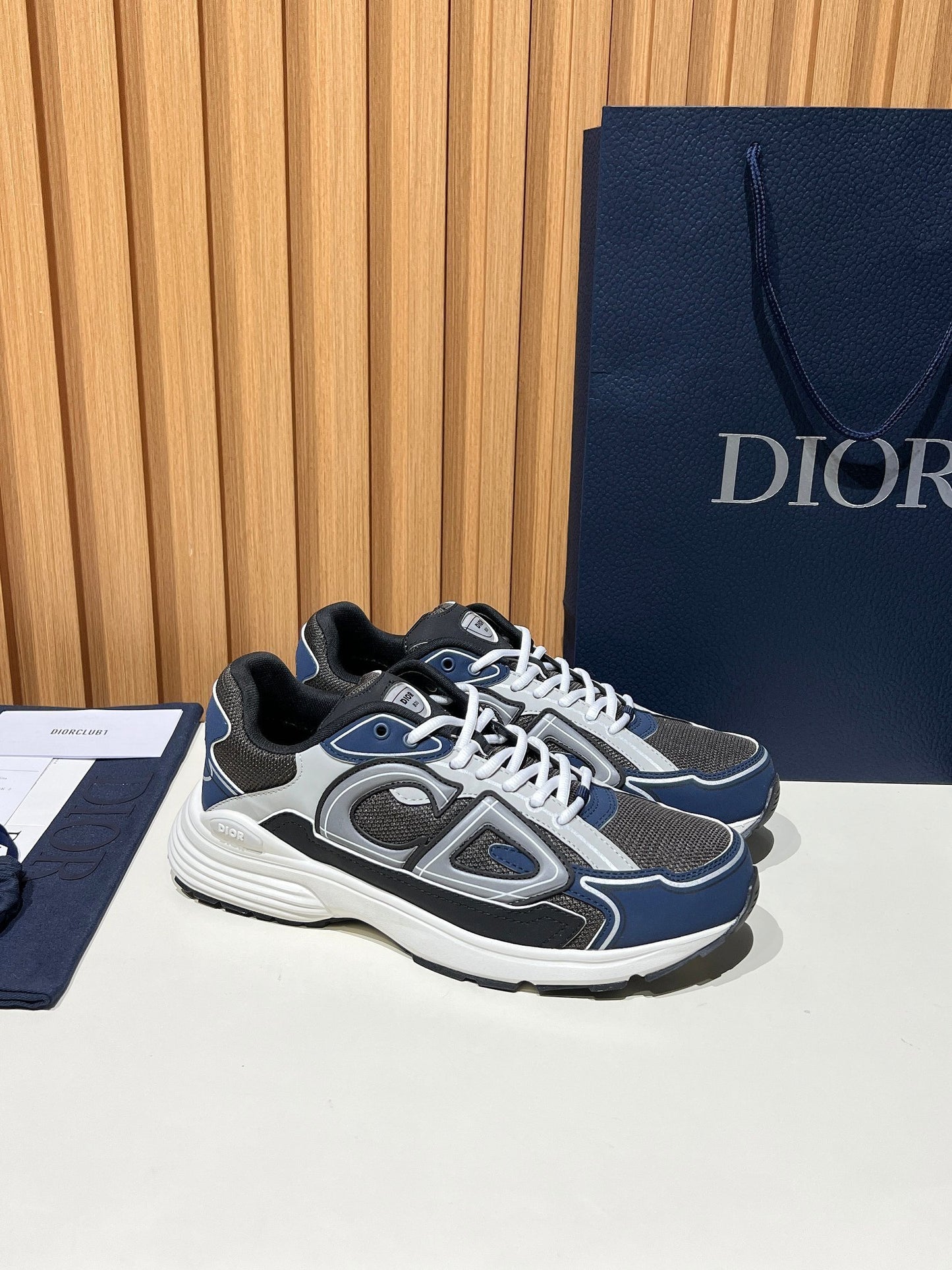 DIOR B30