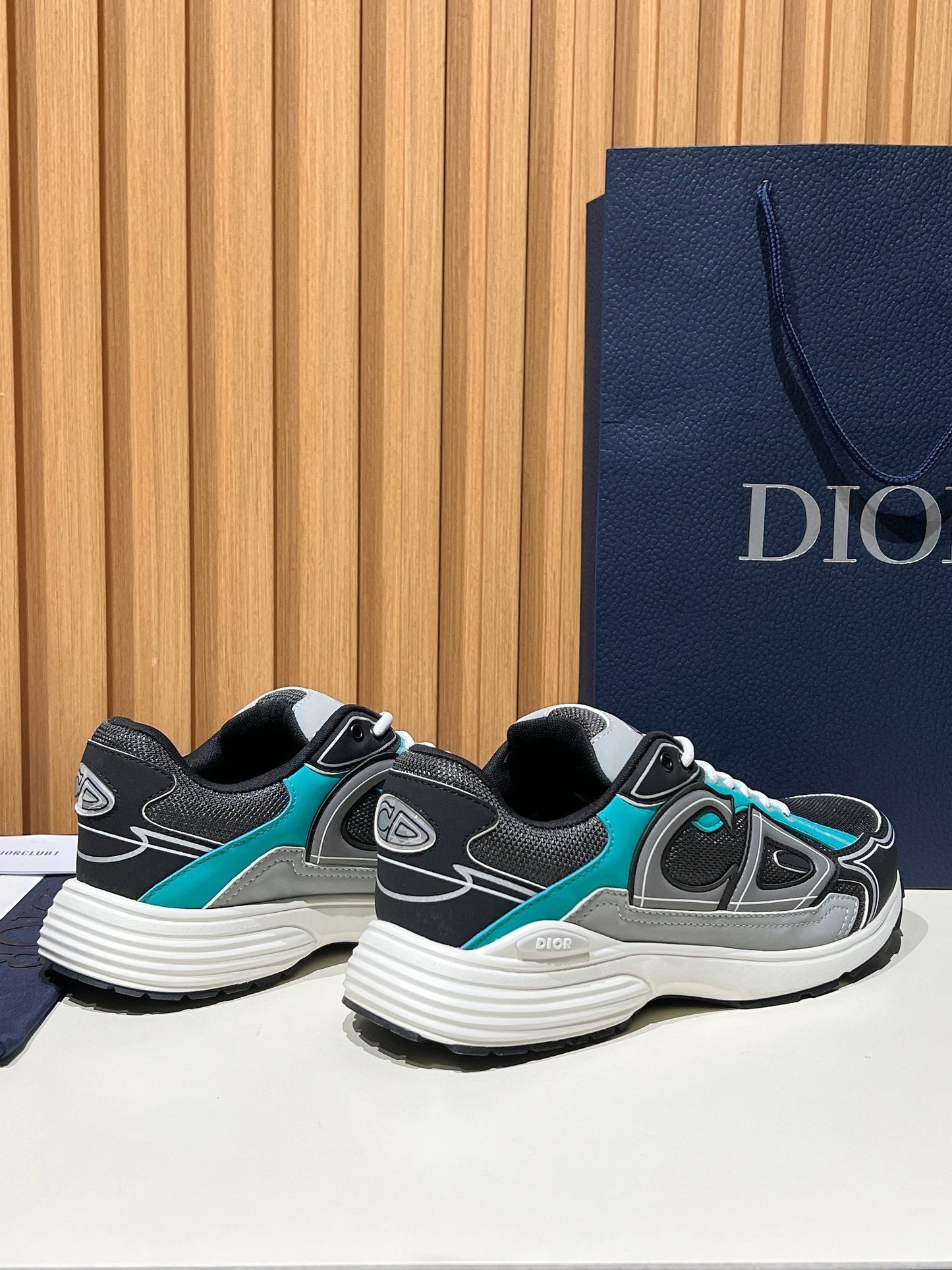 DIOR B30