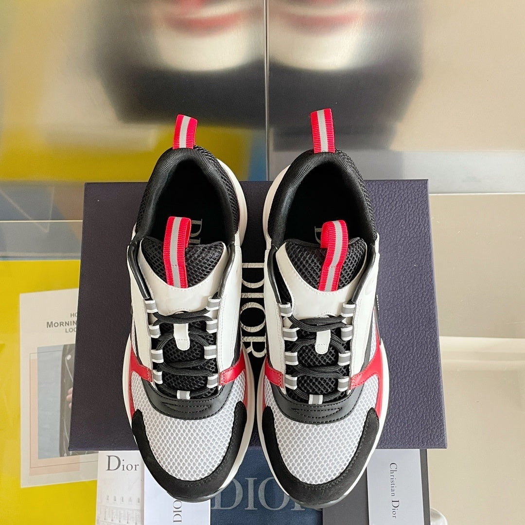 DIOR B22