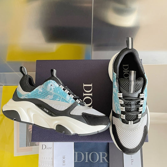 DIOR B22