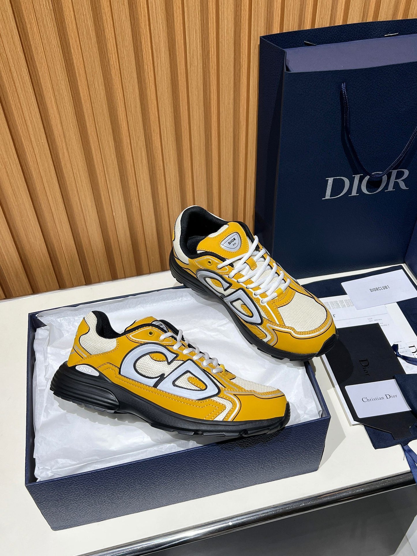 DIOR B30