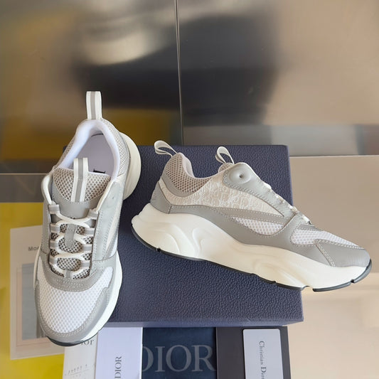 DIOR B22
