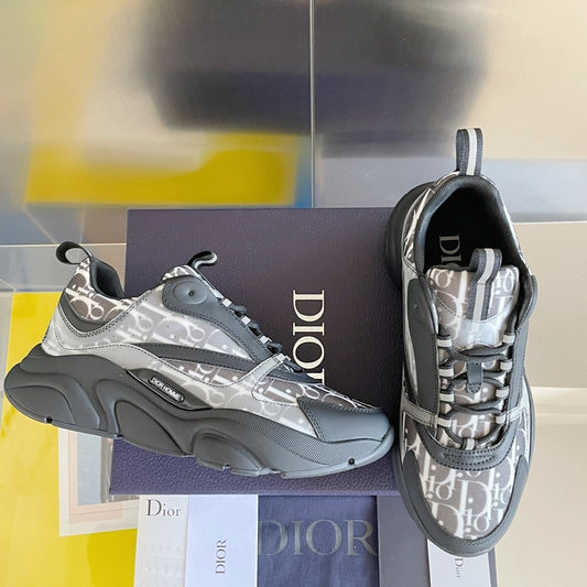 DIOR B22