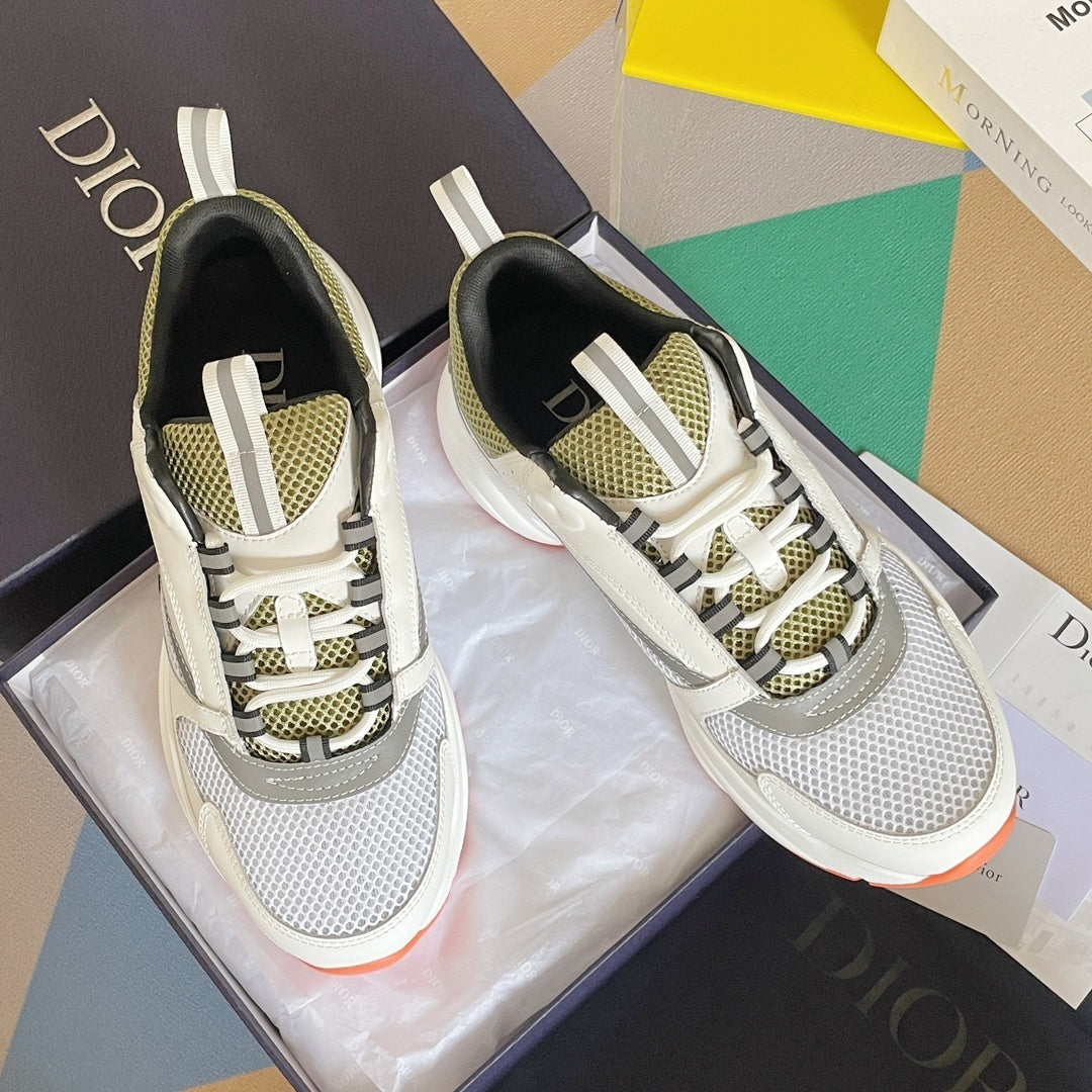 DIOR B22