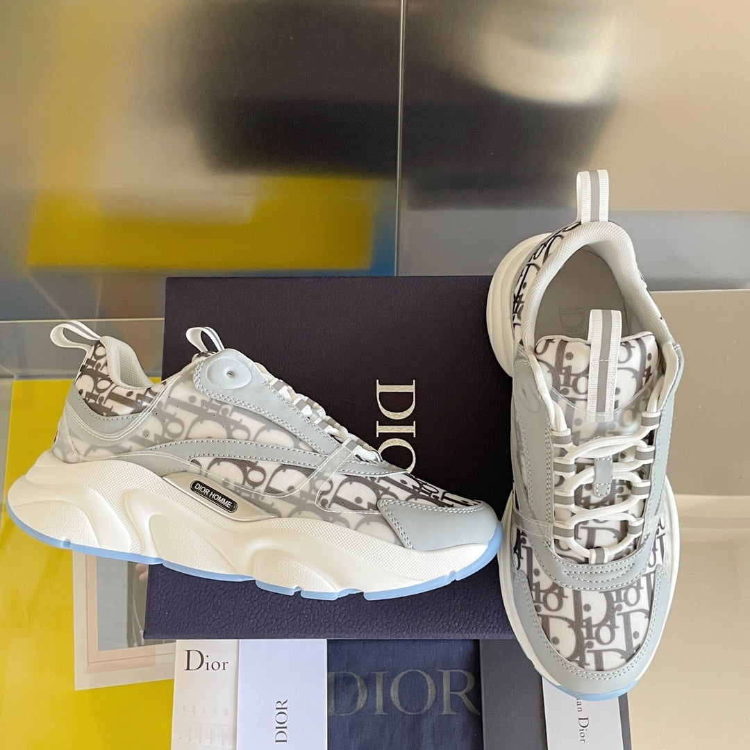 DIOR B22