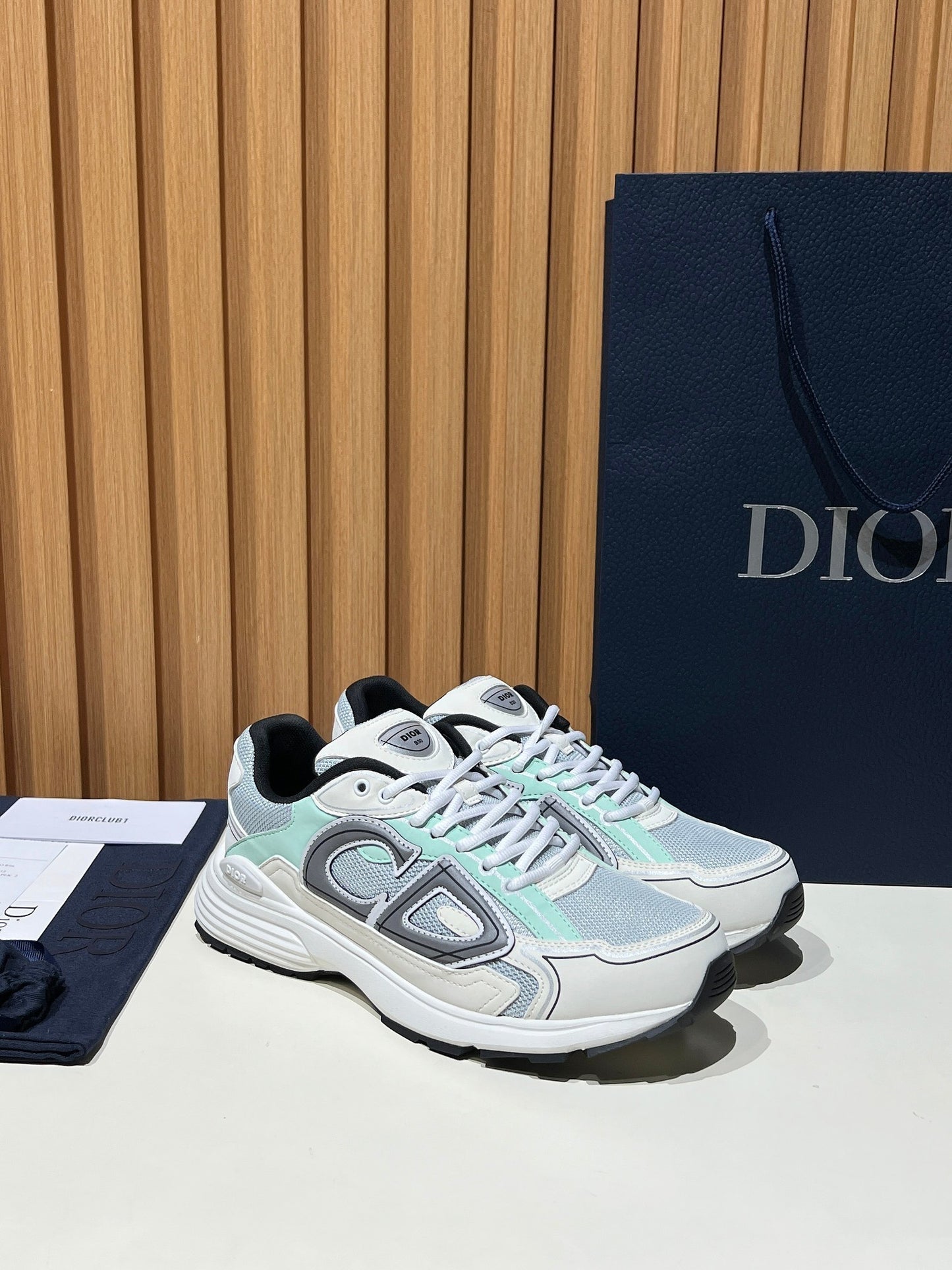 DIOR B30