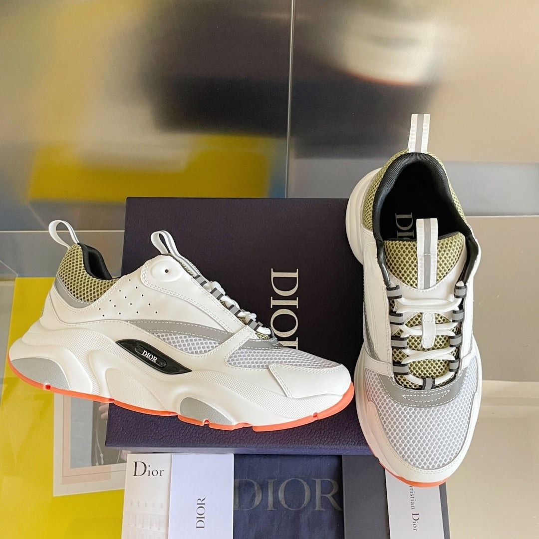DIOR B22