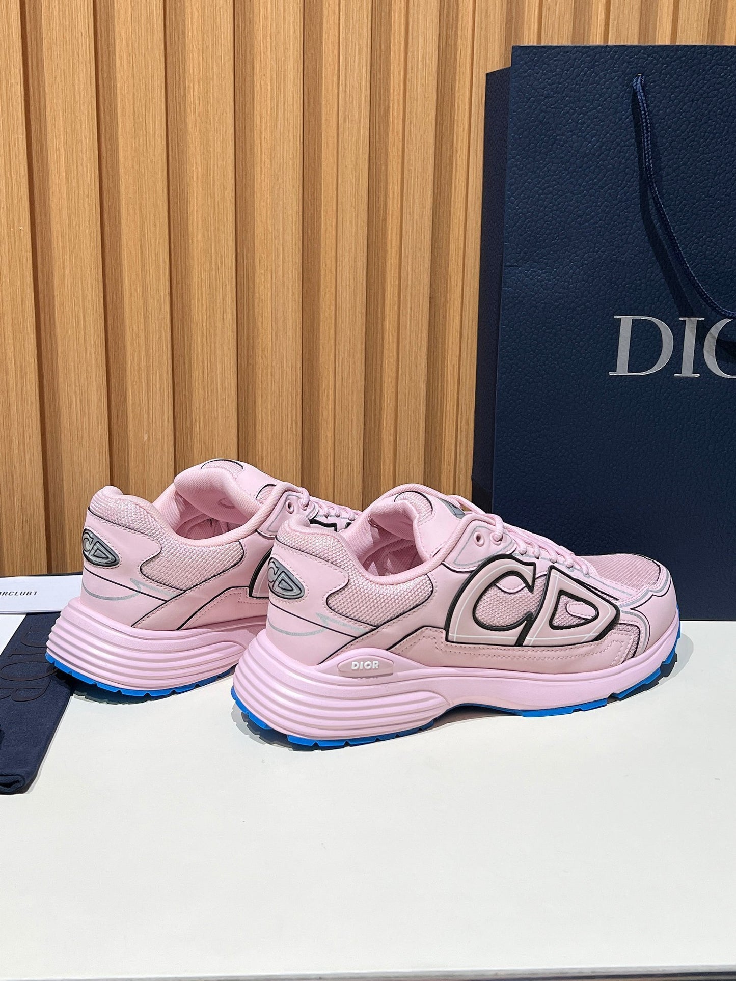 DIOR B30
