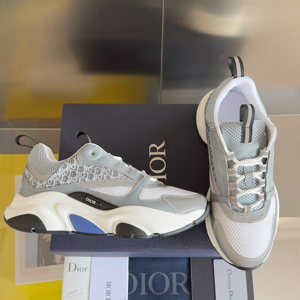 DIOR B22