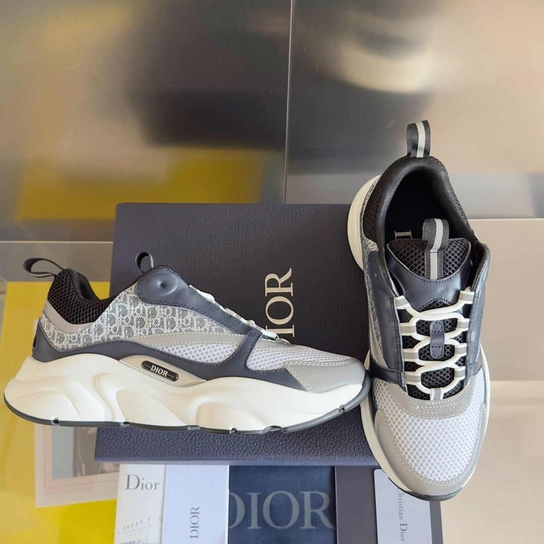 DIOR B22